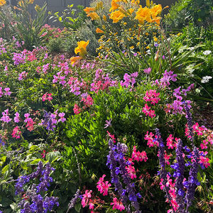 Meet your Posher, Emmy